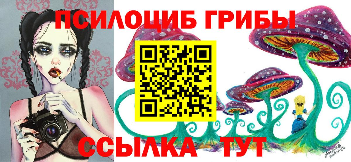Псилоцибиновые грибы прущие грибы Истра